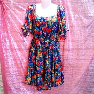 NWOT💕Hailey & Co. XL Floral Dress, Swing Skirt, Elastic Waist Neck & Sleeves!